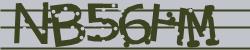 Darstellung des Captcha-Codes.