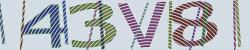 Darstellung des Captcha-Codes.