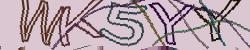 Darstellung des Captcha-Codes.
