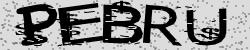 Darstellung des Captcha-Codes.