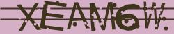 Darstellung des Captcha-Codes.