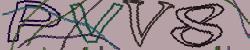 Darstellung des Captcha-Codes.