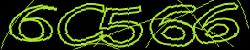 Darstellung des Captcha-Codes.