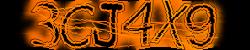 Darstellung des Captcha-Codes.
