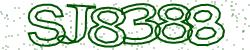 Darstellung des Captcha-Codes.