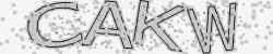 Darstellung des Captcha-Codes.