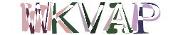 Darstellung des Captcha-Codes.