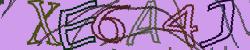 Darstellung des Captcha-Codes.