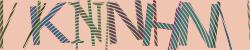 Darstellung des Captcha-Codes.