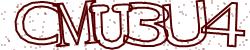 Darstellung des Captcha-Codes.