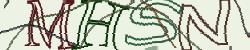 Darstellung des Captcha-Codes.