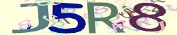 Darstellung des Captcha-Codes.