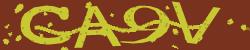 Darstellung des Captcha-Codes.