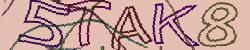 Darstellung des Captcha-Codes.