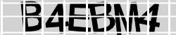 Darstellung des Captcha-Codes.