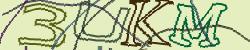 Darstellung des Captcha-Codes.