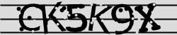 Darstellung des Captcha-Codes.