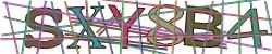 Darstellung des Captcha-Codes.