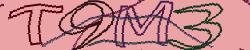 Darstellung des Captcha-Codes.