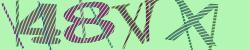 Darstellung des Captcha-Codes.