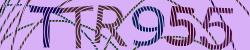Darstellung des Captcha-Codes.