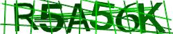 Darstellung des Captcha-Codes.