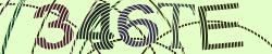 Darstellung des Captcha-Codes.