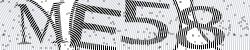Darstellung des Captcha-Codes.