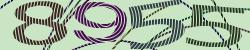 Darstellung des Captcha-Codes.