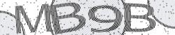 Darstellung des Captcha-Codes.