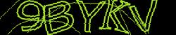 Darstellung des Captcha-Codes.