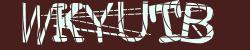 Darstellung des Captcha-Codes.