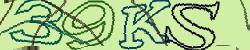 Darstellung des Captcha-Codes.
