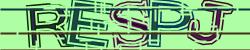 Darstellung des Captcha-Codes.