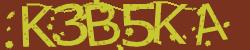 Darstellung des Captcha-Codes.