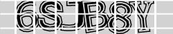 Darstellung des Captcha-Codes.