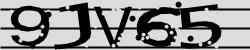 Darstellung des Captcha-Codes.