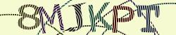 Darstellung des Captcha-Codes.
