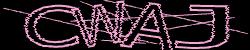 Darstellung des Captcha-Codes.