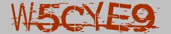 Darstellung des Captcha-Codes.