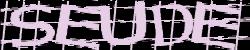 Darstellung des Captcha-Codes.