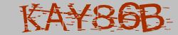 Darstellung des Captcha-Codes.