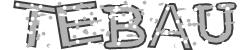 Darstellung des Captcha-Codes.