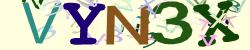 Darstellung des Captcha-Codes.
