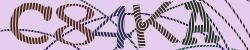 Darstellung des Captcha-Codes.