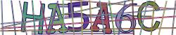 Darstellung des Captcha-Codes.