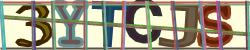 Darstellung des Captcha-Codes.